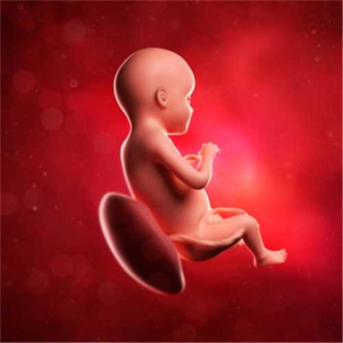 贵州允许代孕吗，喜报！贵州省首个“第三代试管婴儿”在贵医附院诞生