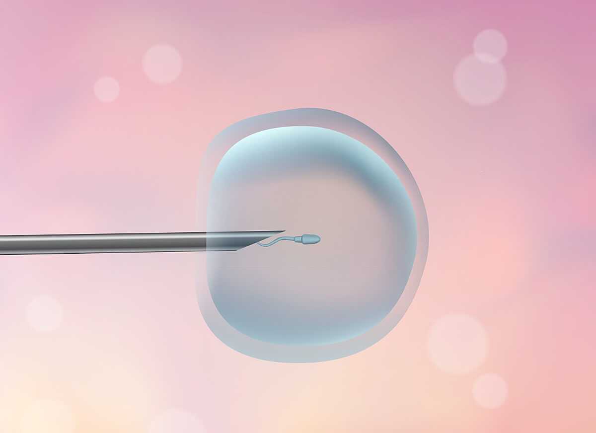 内蒙代孕全包多少，试管代孕助孕机构排名如何