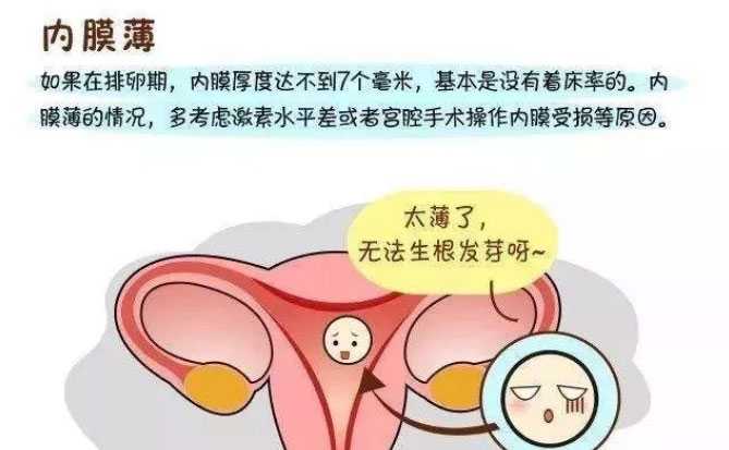 中国试管代生数量，女性子宫内膜薄，俄罗斯试管婴儿成功率高吗？