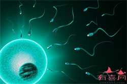 深圳供卵生殖中心，供卵子需要配血型吗